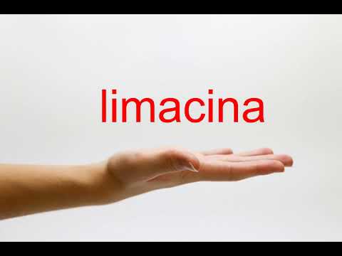 How to Pronounce limacina - American English