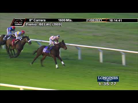 210821 c08 POSSESIVO Z