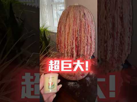 累積燒了40年的蠟燭 而他們永遠不會停止😯 #shorts