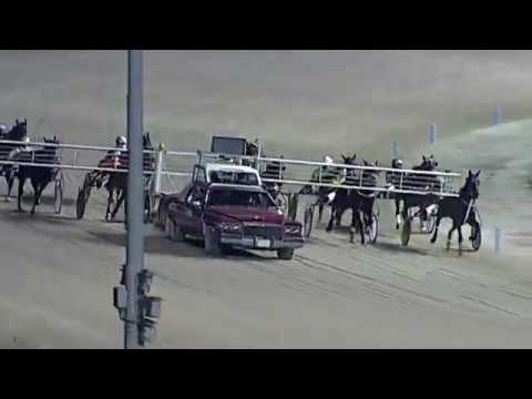 Aversa trotto 25 Gennaio 2020 - 7° Corsa