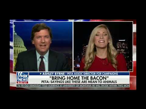 PETA wants you to "Feed two birds with one scone." - Tucker Carlson 12/4/18