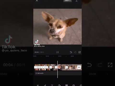 Yo quiero tacobell💀😭