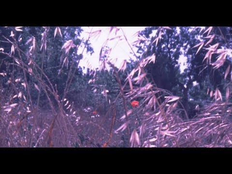 Leah Goldstern לאה גולדשטרן - Ve'otach ואותך (video of Israel, 1971)