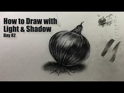 Drawing for Beginners Step by Step | Day 011 Part 1 | Basic Pencil Shading Technique Part 1