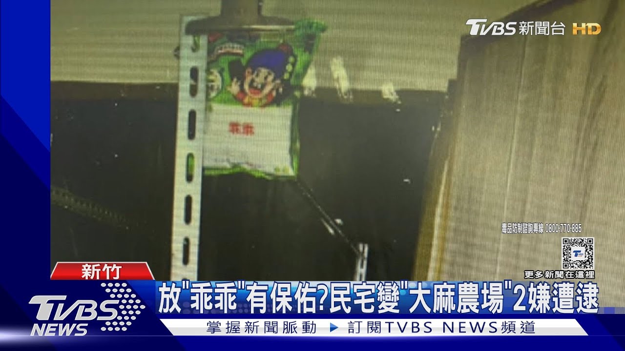 放「乖乖」有保佑? 民宅變「大麻農場」2嫌遭逮
