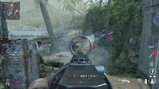 CoD Vangard オープンベータ