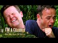 Ant Dec FINALLY Take On A Bushtucker Trial I M A Celebrity Get Me Out Of Here