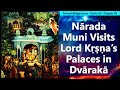 SB 10.69 Narada Muni Visits Lord Krishna’s Palaces in Dvaraka | Srimad Bhagavatam | Canto 10