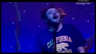 Bløf &amp; Counting Crows - Holiday in Spain