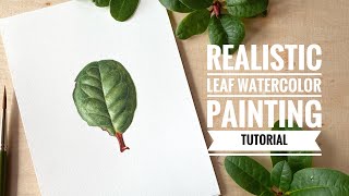 Watercolor painting of Green Leaf | Realistic painting | Suitable for beginners