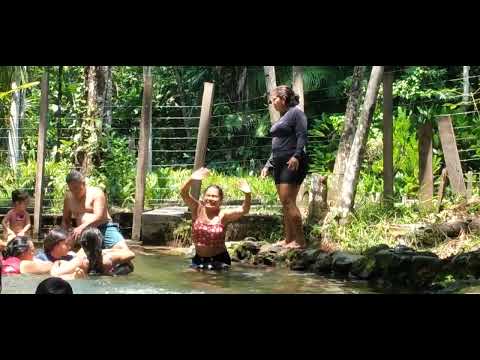 Resenha da família fit-fit de São João de Pirabas no sítio em vigia pará