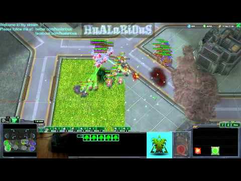 Hualarious's Widow Mines destroy a bunch of mutas & my reaction