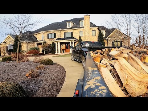 image-Can you bring firewood into Maryland?
