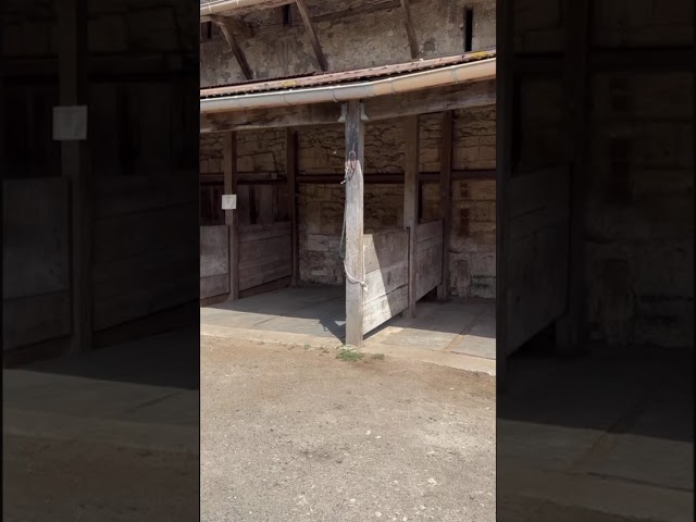 ÉCURIES DU DOMAINE DE VILLETTE