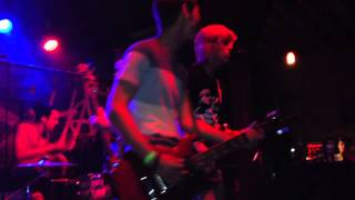 Palm Trees & Power Lines