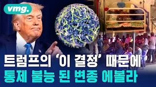에볼라 변종, 급격히 확산..왜 못 잡을까 / 머그인사이트 / 비디오머그