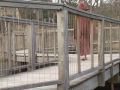 Of Montreal - Oslo in the Summertime