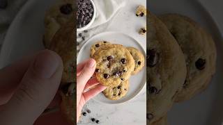 Download lagu Olive Oil Chocolate Chip Cookies 🫒🍪 #baking #recipe #cookies #chocolatechipcookies #dessert mp3