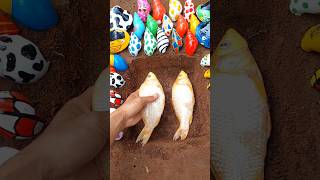 Download lagu Sedih 🥹 ikan mas nya mati #shorts #animals #goldfish mp3 Download lagu Sedih 🥹 ikan mas nya mati #shorts #animals #goldfish mp3