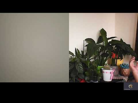 Hipnoza regres 628 ARMONIE IN FAMILIE PRIN IERTARE A,C MORARU