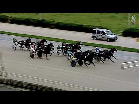 Aversa trotto 9 Gennaio 2021 - 6° Corsa