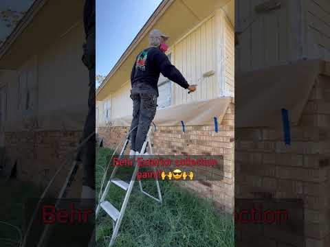 Another House Painted For $1!🙏🙏