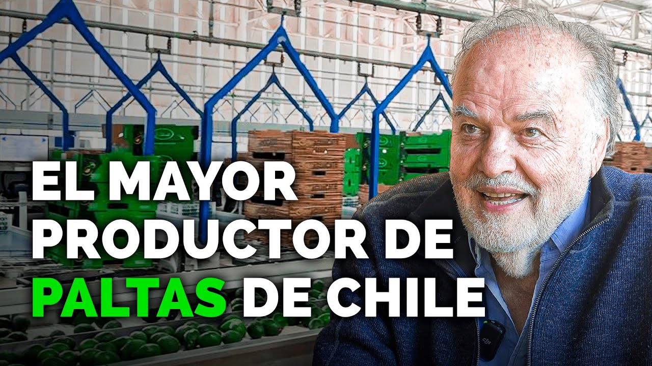 Vende Más De 30.000 Toneladas De Paltas - Jorge Schmidt