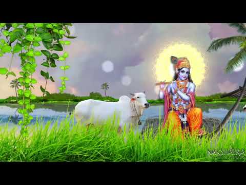 Shree Krishna Janmashtami  Wishes Video By Nakshatra Tech Studio