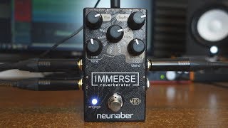 Neunaber Immerse Reverberator Mk II - What To Know & Where Neunaber Immerse Reverberator Mk II - What To Know & Where