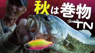 【バス釣り】“ TN ″ の釣れる巻き方教えます｜ How to TNバイブレーション / 水野浩聡