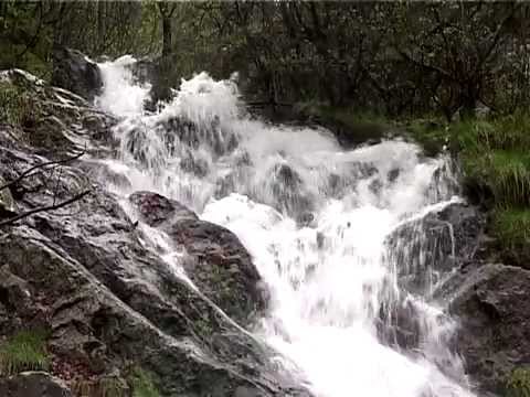 #ValeaAlmăjului #Rudaria #CantecSiPoveste @TVRTimisoara