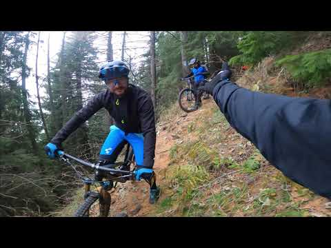 COBORARE PIATRA ARSA SINAIA - COTA 2000 BUCEGI