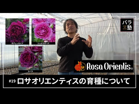 育種について詳しく解説