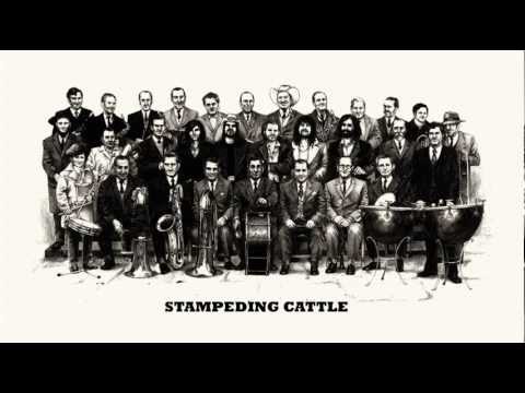 The Soul Jacket - Stampeding Cattle (Album: Wood Mama)