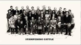 The Soul Jacket - Stampeding Cattle (Album: Wood Mama)
