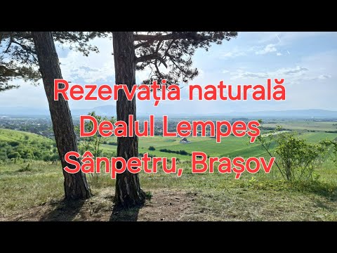 Rezervația naturală Dealul Lempeș | Sânpetru, Brașov