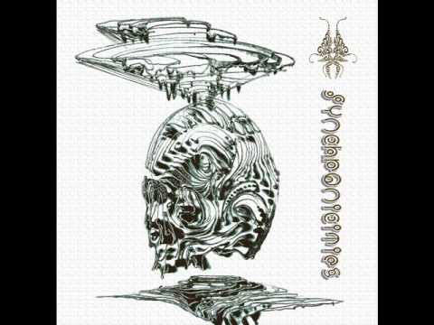 Cosmic Lizard  - Individuation