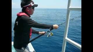 preview picture of video 'Sailfish @ Kuala Rompin (Different Angle)- NTUAC Annual Offshore Fishing Competition 2012'