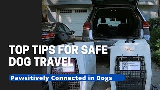 Top Tips For Safe Dog Travel