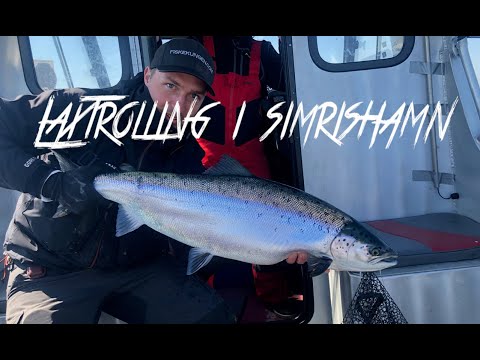 laxfiske simrishamn 2019