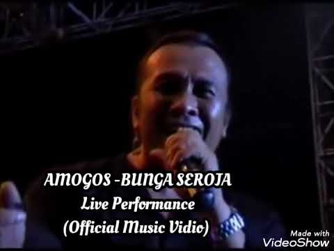 Amigos Bunga Seroja, Live Performance, #amazing