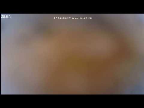 Sewerscope ins. On property 1170 sw 187 st