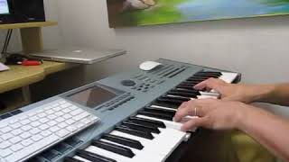 Incognito Jacobs Ladder  SOLO RHODES