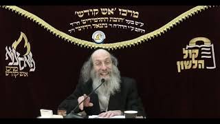 הרב אלימלך בידרמן | צדקה וחסד - להיות טוב ומיטיב לבריות - פרשת וירא תשפ"ו (ארגון קול הלשון) - התמונה מוצגת ישירות מתוך אתר האינטרנט יוטיוב. זכויות היוצרים בתמונה שייכות ליוצרה. קישור קרדיט למקור התוכן נמצא בתוך דף הסרטון