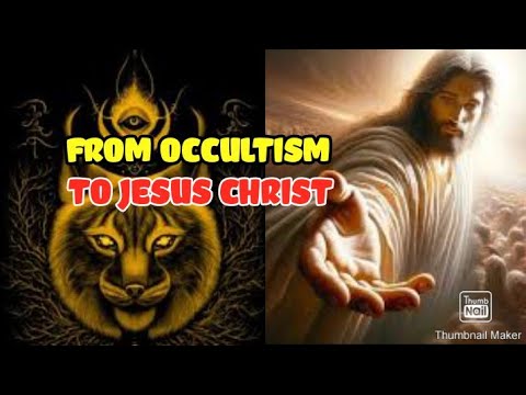 Witness21 Editor  2024 05 29