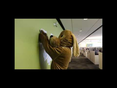 Petsecure video/presentation/materials