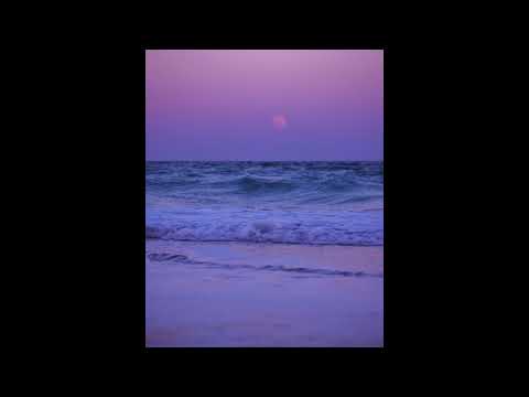 [free] playboi carti x adrian type beat - "shore" [prod. adturnup x jordyn]