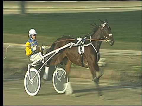 Trotto 17/02/2017 - 7ª corsa