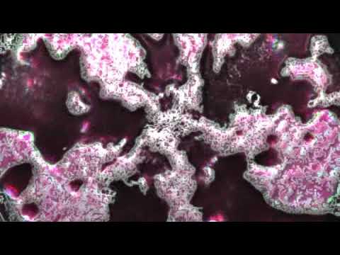 Serge Devant Feat. Emma Hewitt - Take Me With You (Easy Way Out Remix)