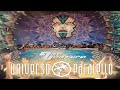 Ace Ventura Set Universo Paralello Festival 2023 2024 Full Movie